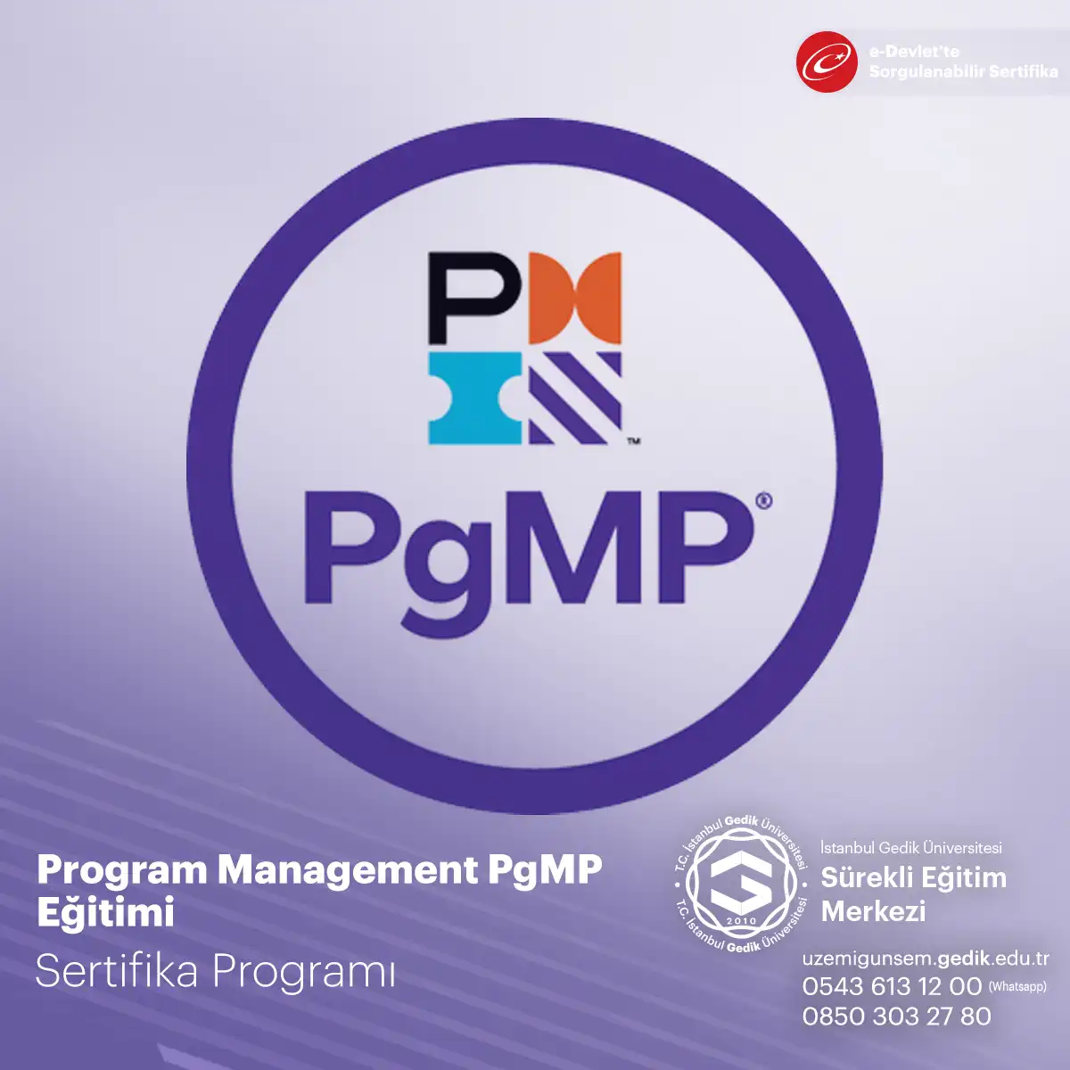 Program Management PgMP Eğitimi 